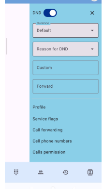 Ne pas déranger (DND) activé